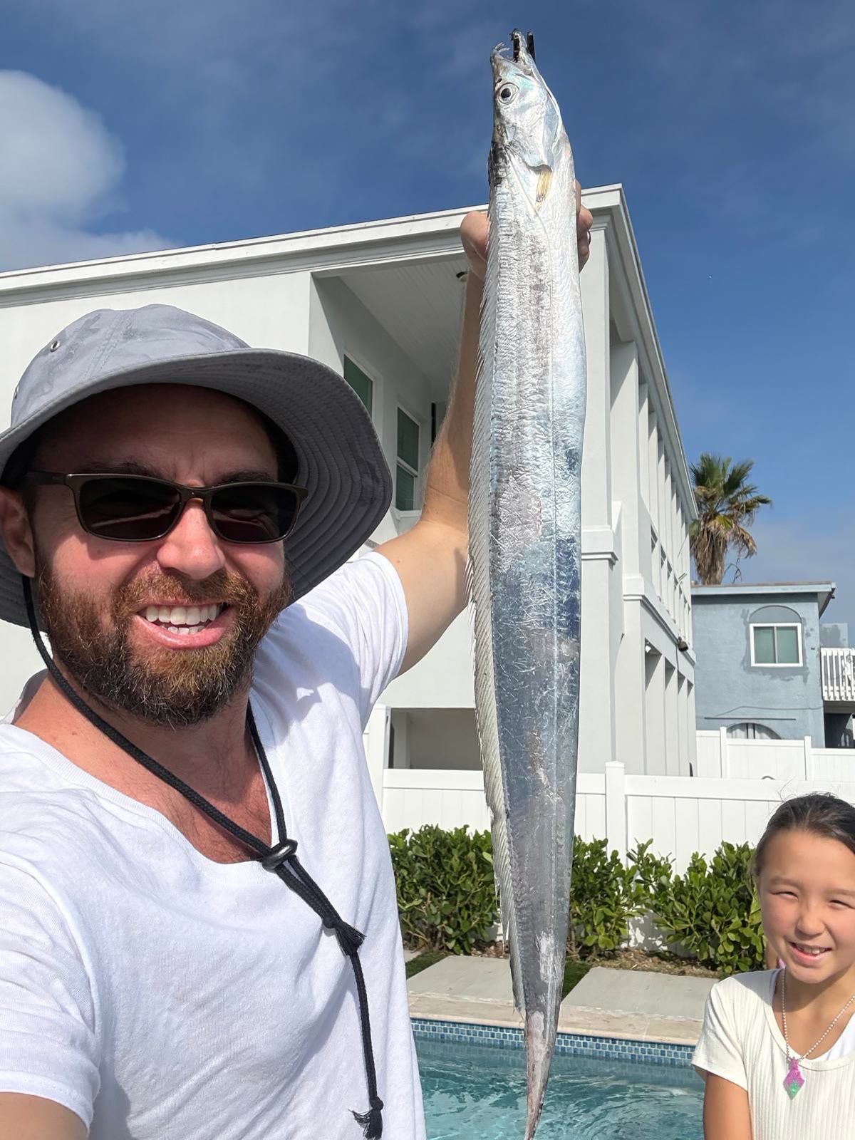 Beltfish