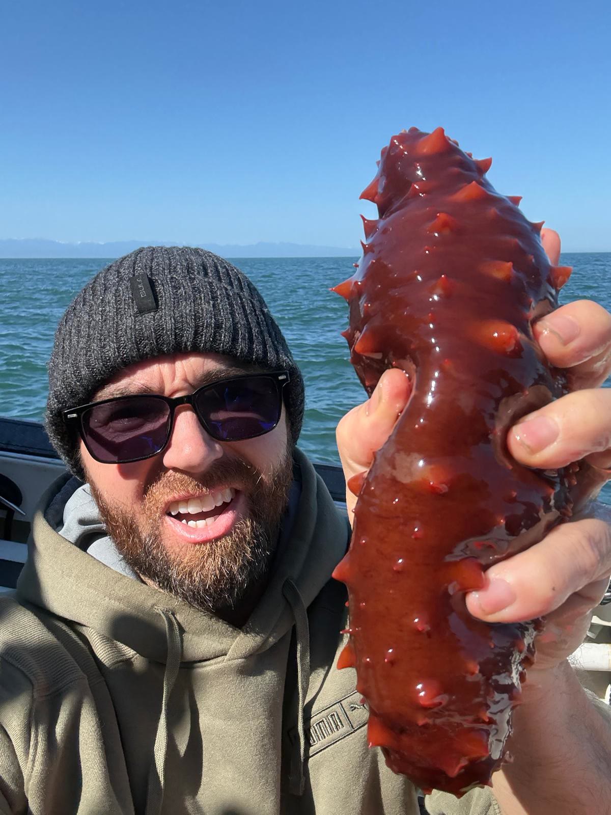 Giant California Sea Cucumber