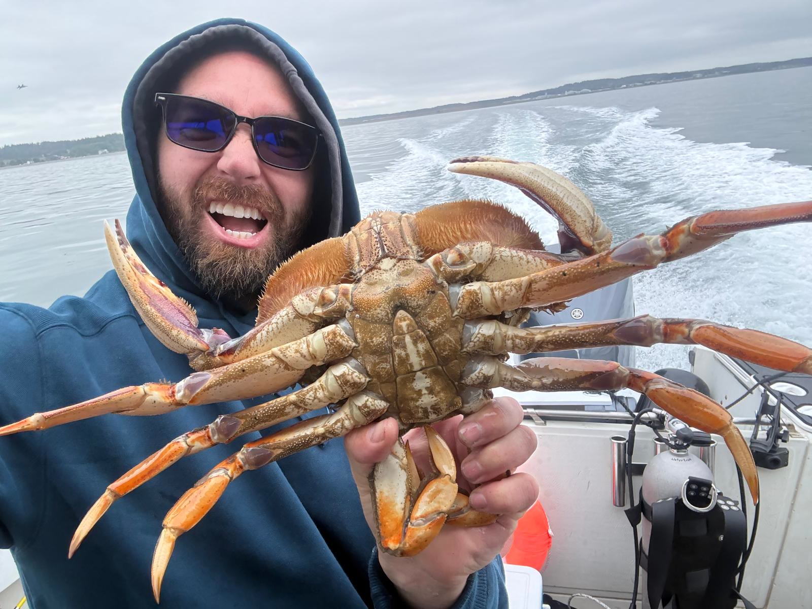 Dungeness crab