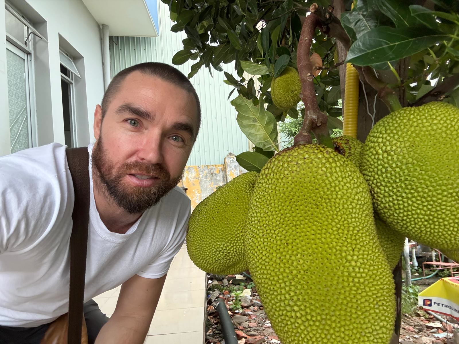 Chilled Jackfruit Ginger Cup