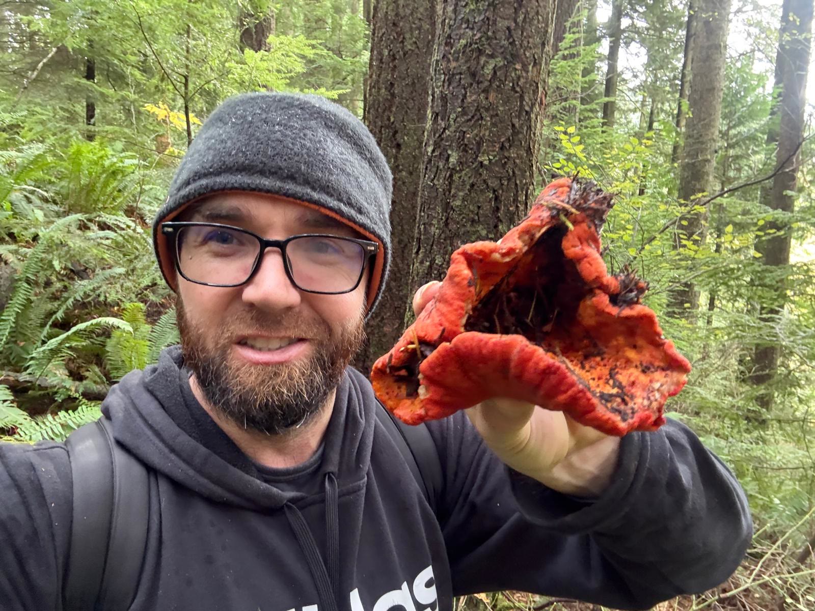Lobster Mushroom