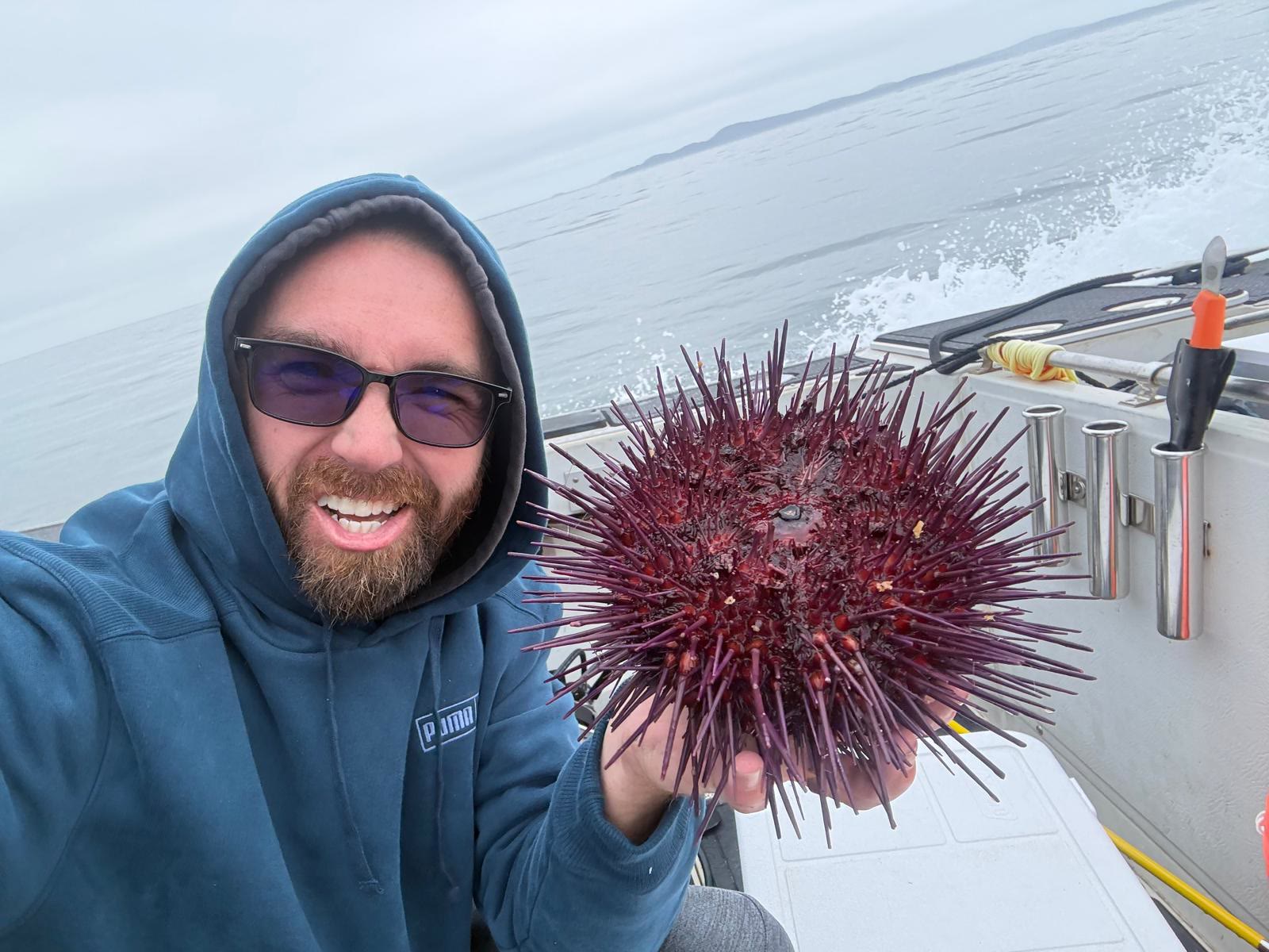 Purple Sea Urchin