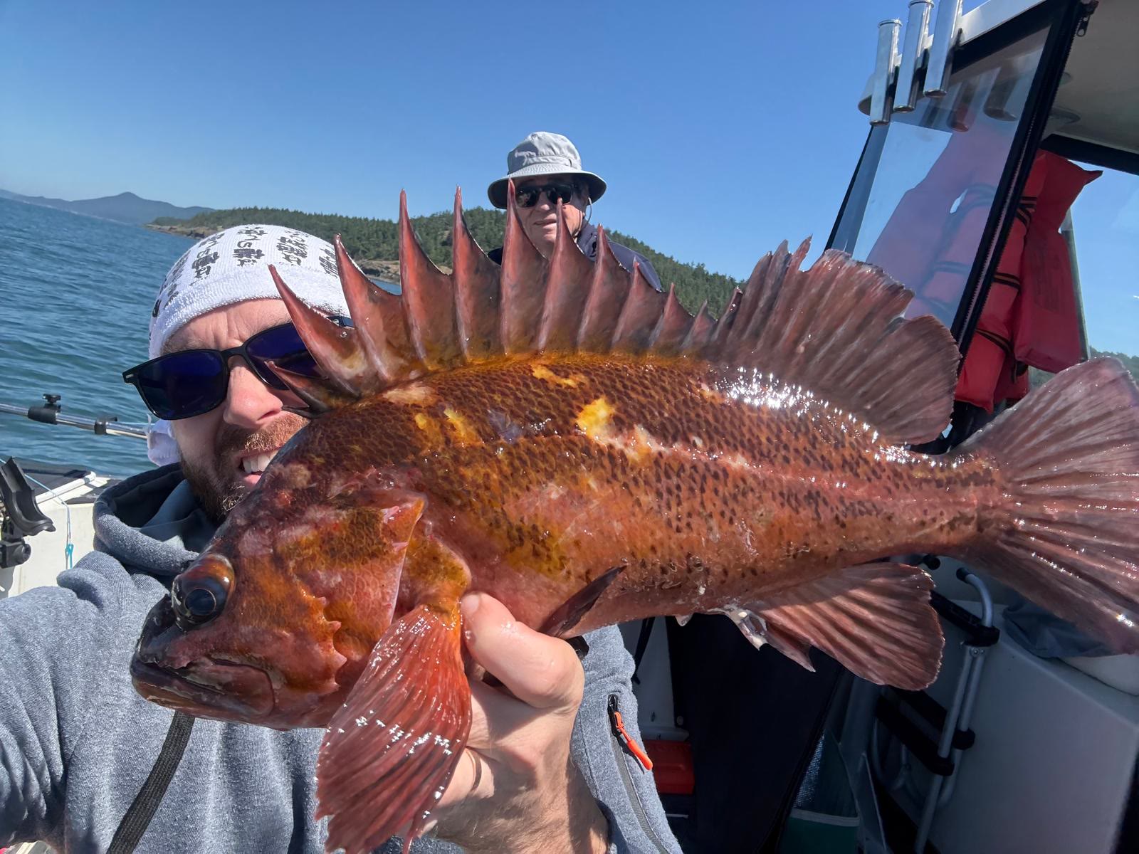 Rockfish