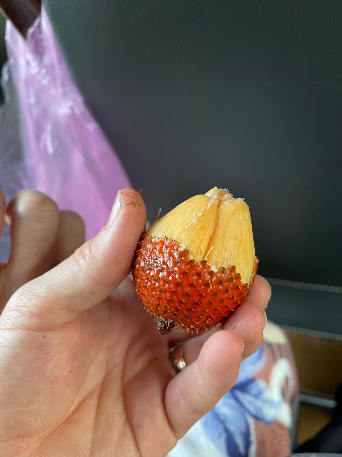Snake Fruit