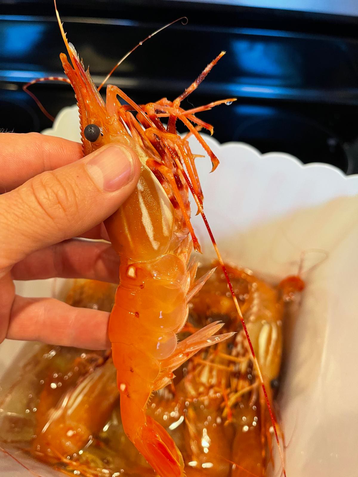 Spot Prawn